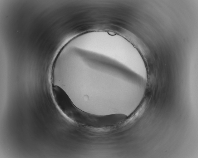 X0000086940855200705141801