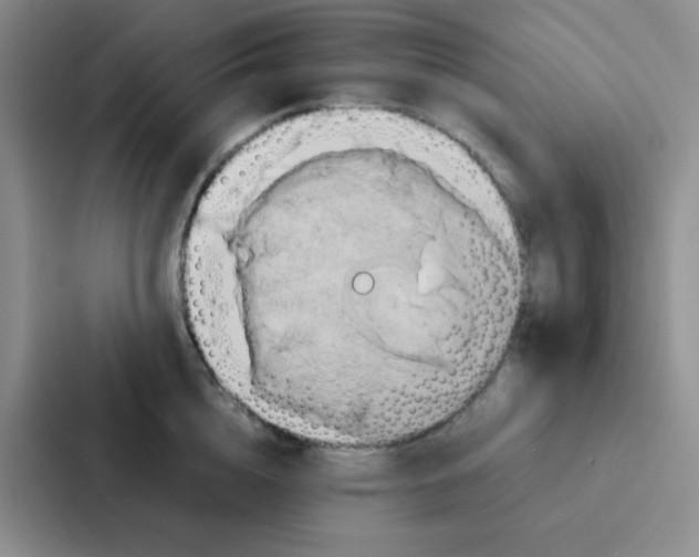 X0000086940856200705141801