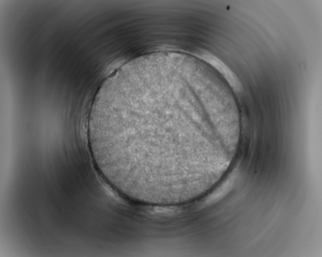 X0000086940857200705141801