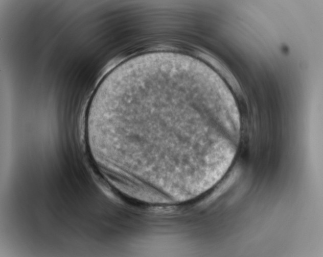 X0000086940858200705141801