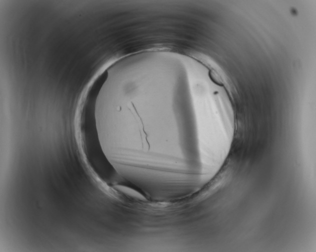 X0000086940859200705141801