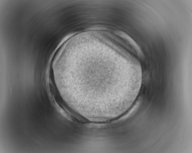 X0000086940860200705141801