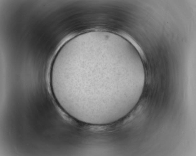 X0000086940861200705141801