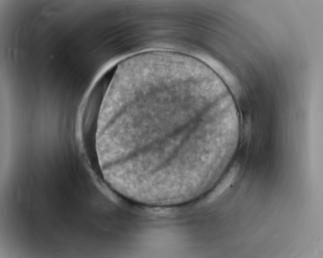 X0000086940862200705141801