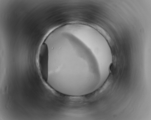 X0000086940863200705141801