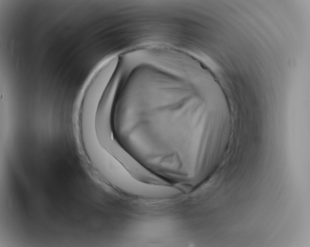 X0000086940864200705141801