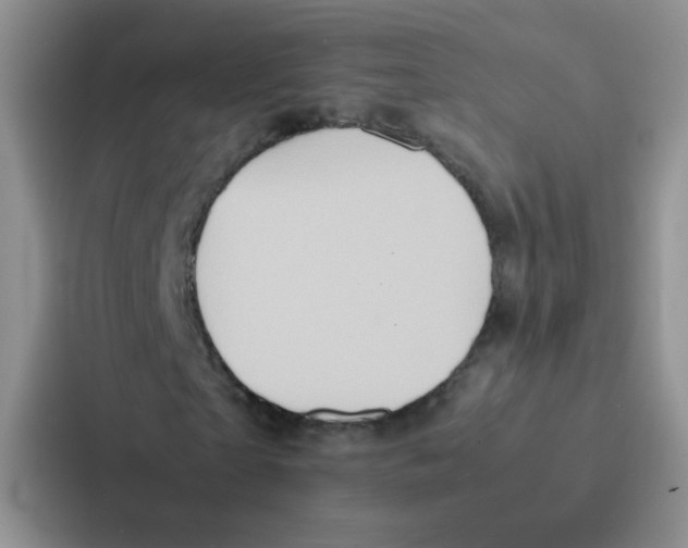 X0000086940865200705141800