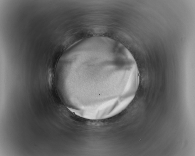 X0000086940866200705141800