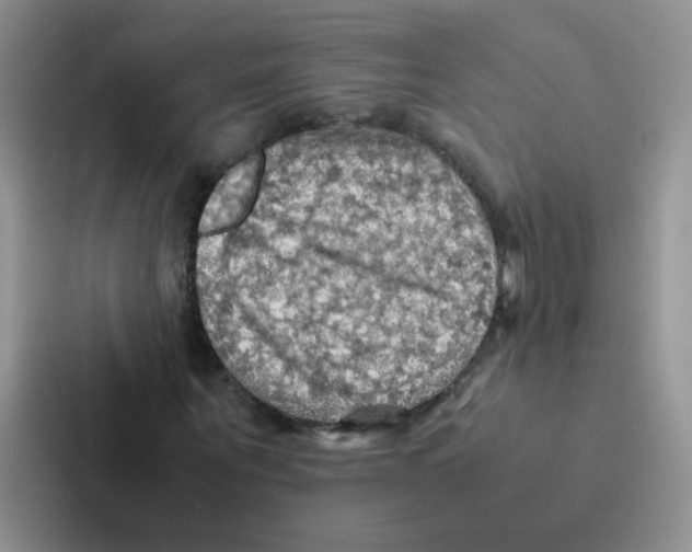 X0000086940867200705141800