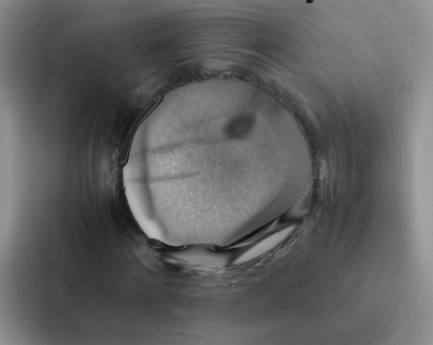 X0000086940868200705141800