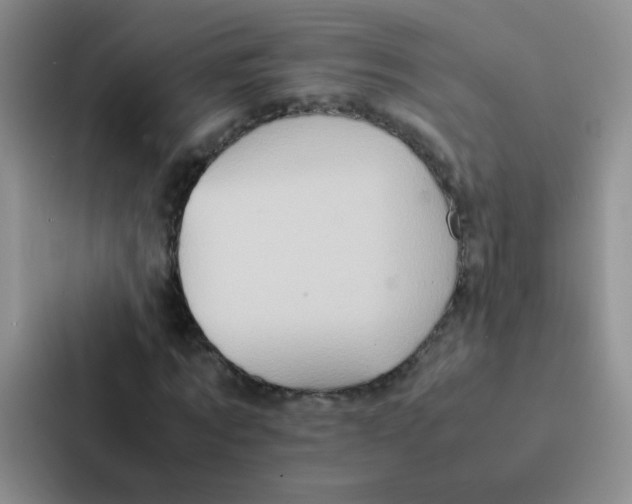 X0000086940869200705141800