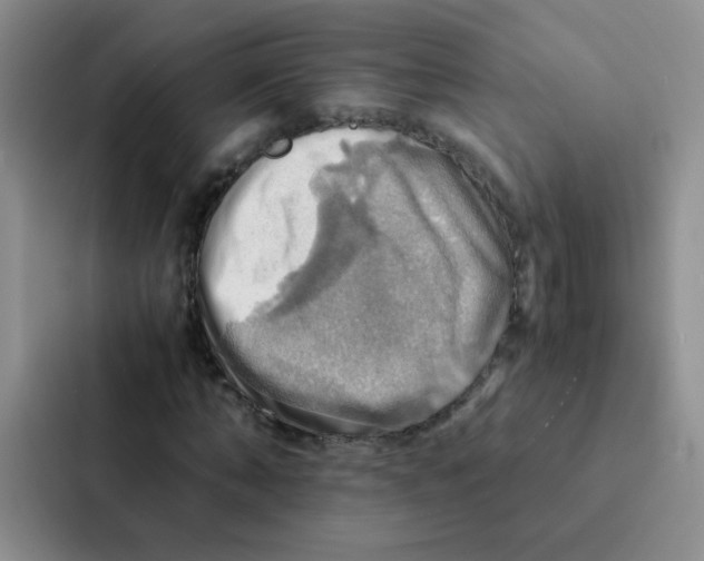 X0000086940870200705141800