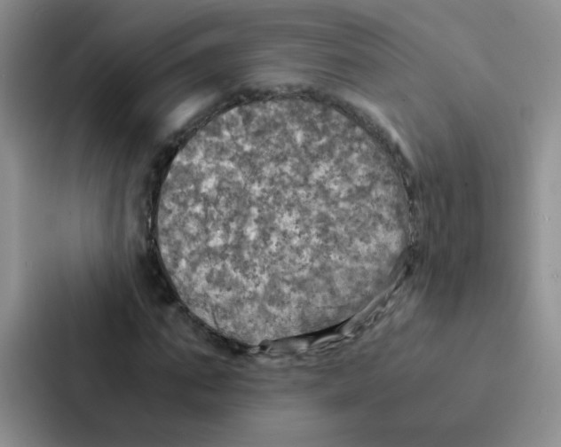 X0000086940871200705141800