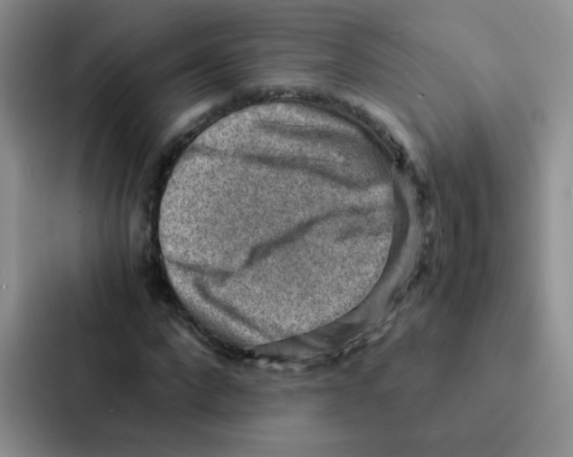 X0000086940872200705141800