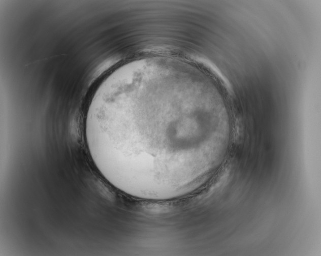 X0000086940874200705141800