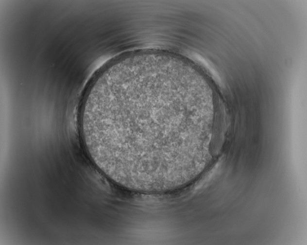 X0000086940875200705141800