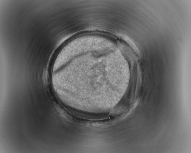 X0000086940876200705141800