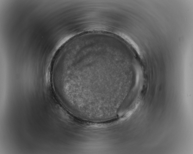 X0000086940877200705141800