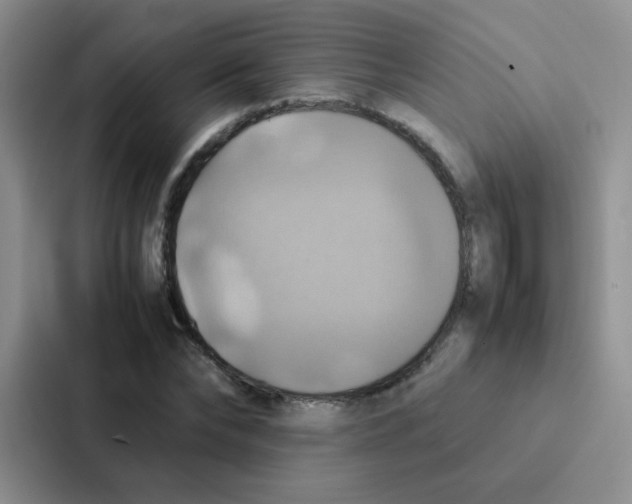 X0000086940878200705141800