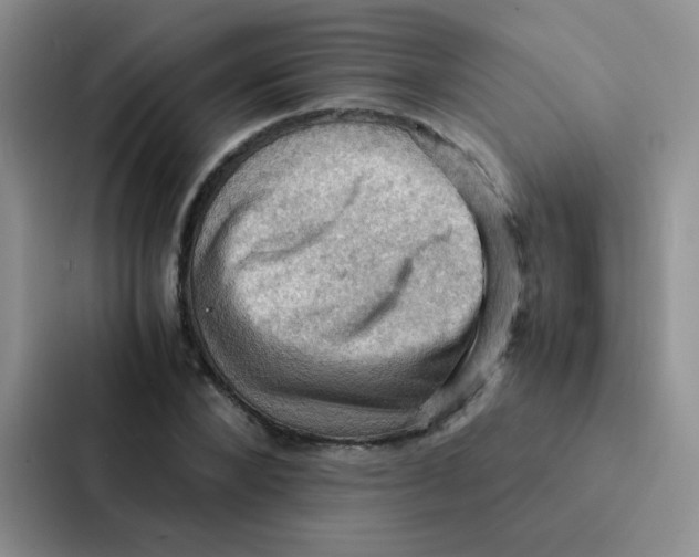 X0000086940880200705141800