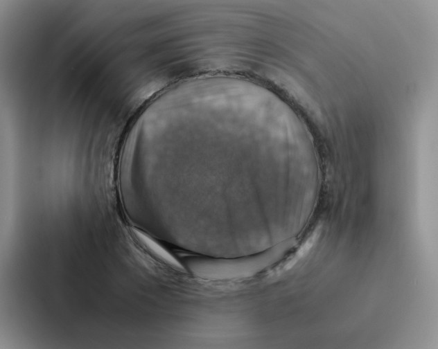 X0000086940881200705141800