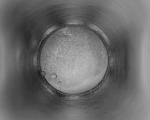 X0000086940882200705141800