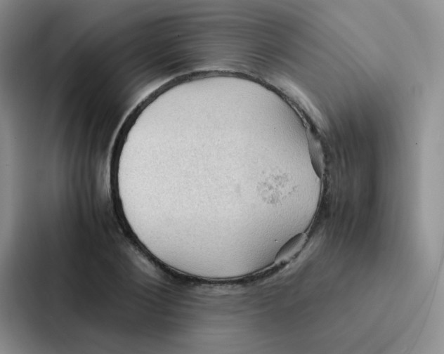 X0000086940884200705141800