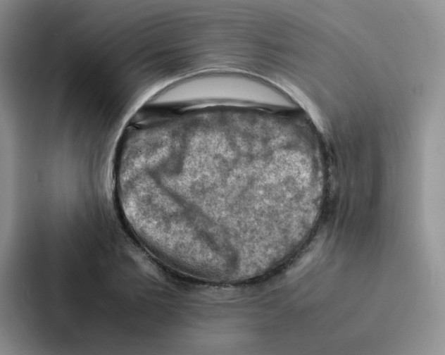 X0000086940885200705141800