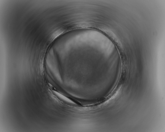 X0000086940889200705141800