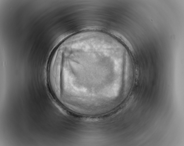 X0000086940890200705141800