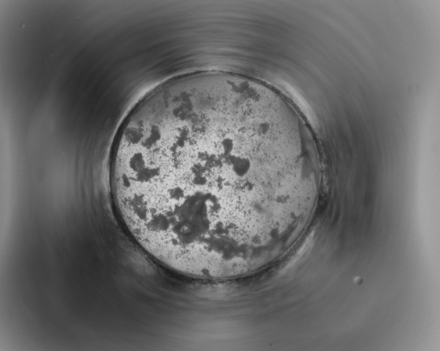 X0000086940891200705141800