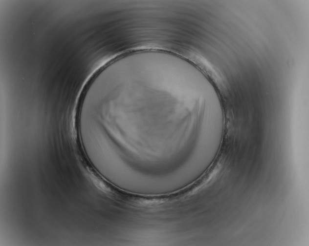 X0000086940892200705141800