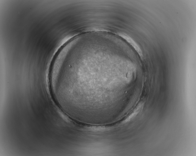 X0000086940893200705141800