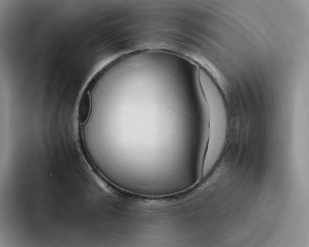 X0000086940894200705141800