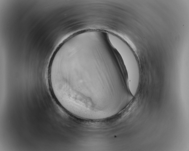 X0000086940895200705141800