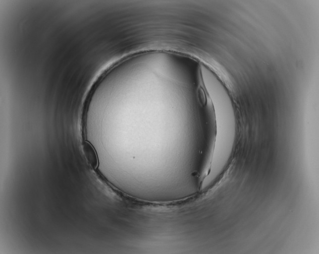 X0000086940896200705141800