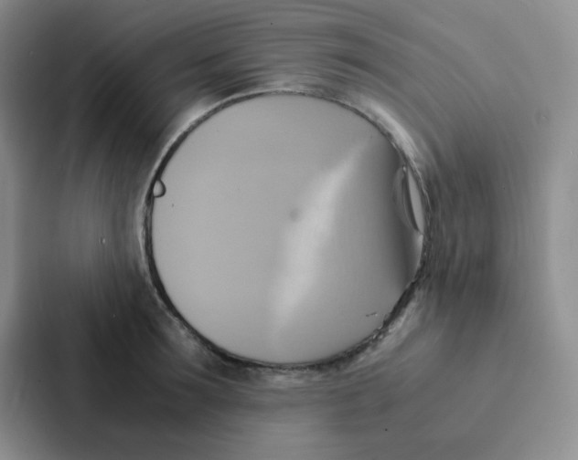 X0000086940899200705141800