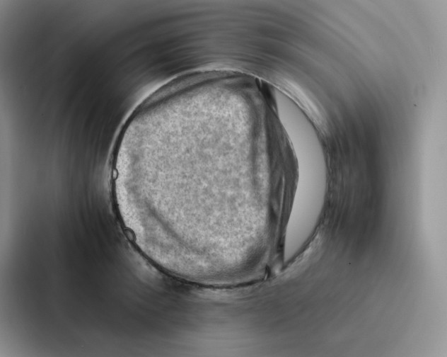 X0000086940900200705141800