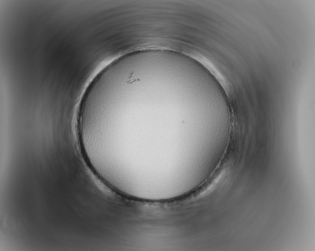 X0000086940901200705141800