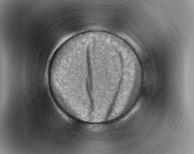 X0000086940902200705141800