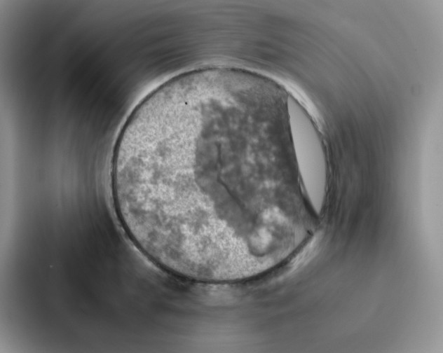 X0000086940903200705141800