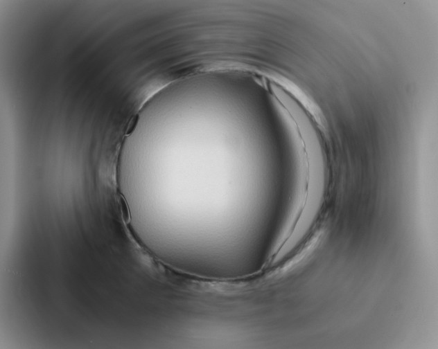 X0000086940905200705141800