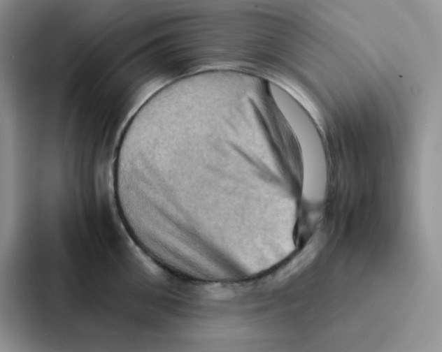 X0000086940906200705141800