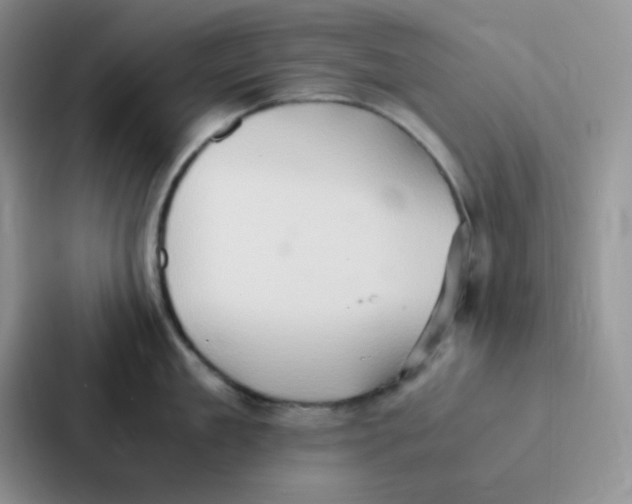 X0000086940909200705141800