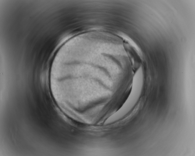 X0000086940910200705141800