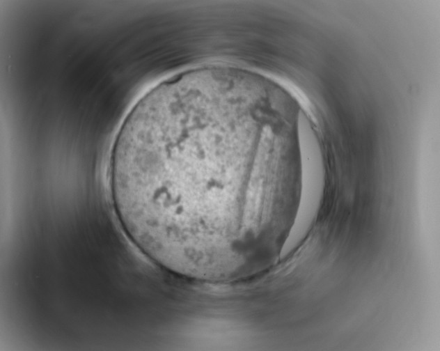 X0000086940911200705141759