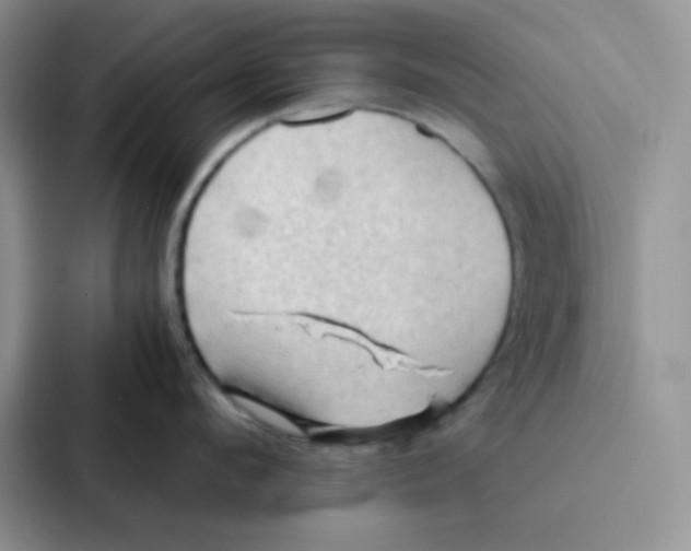 X0000086940912200705141759