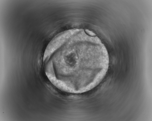 X0000086940914200705141759