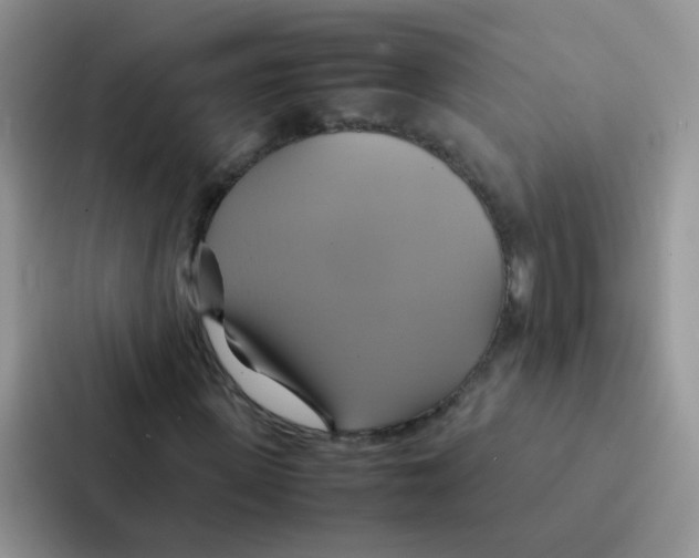 X0000086940915200705141759