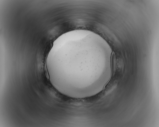 X0000086940916200705141759